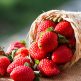 Erdbeeren