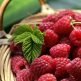 Himbeeren